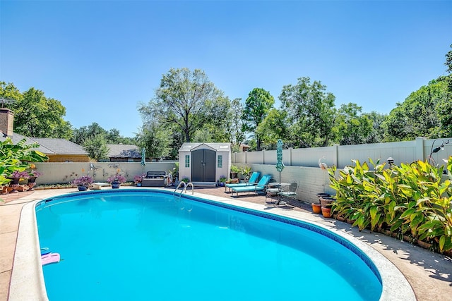 view of swimming pool featuring a shed