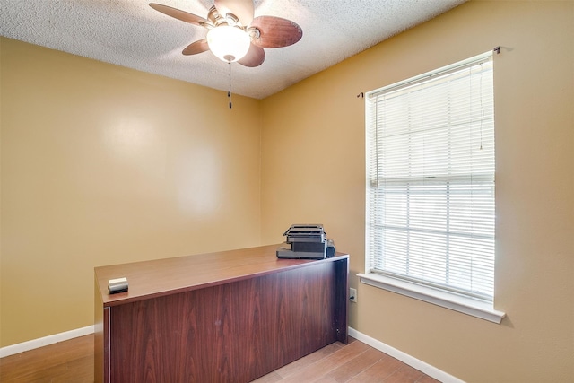 unfurnished office with ceiling fan, a textured ceiling, and light hardwood / wood-style flooring