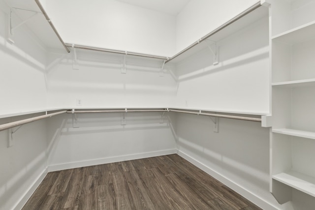 walk in closet featuring dark wood-style flooring