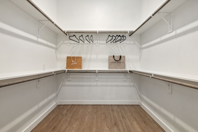 spacious closet featuring wood-type flooring