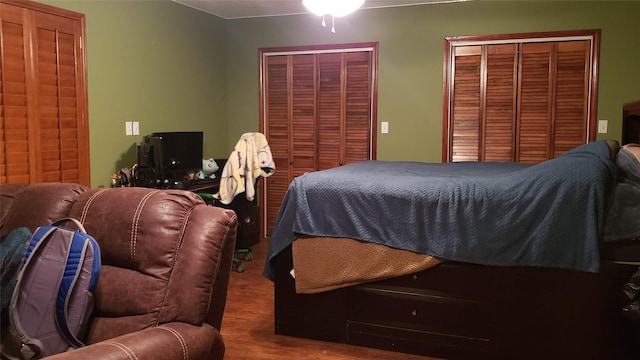 bedroom with wood-type flooring and two closets