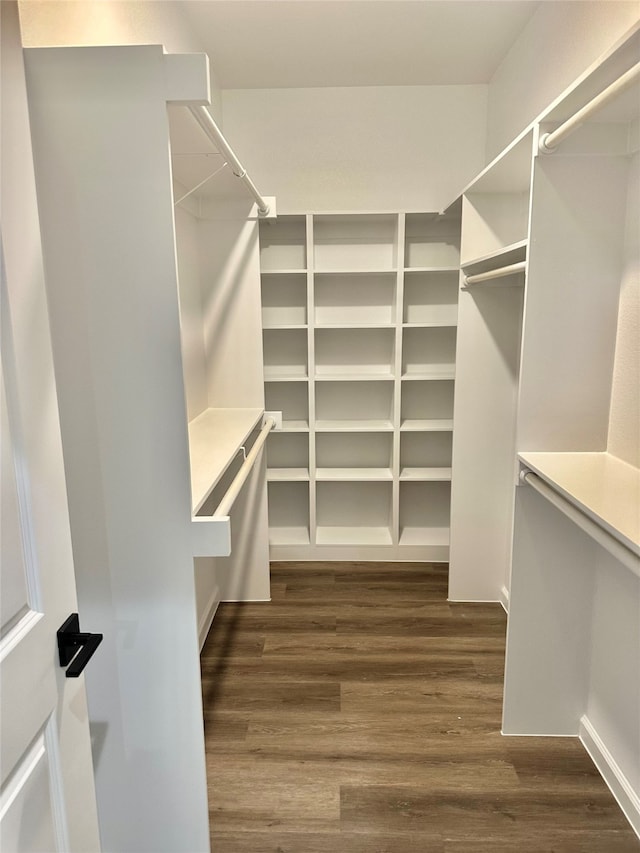 walk in closet with dark wood-type flooring