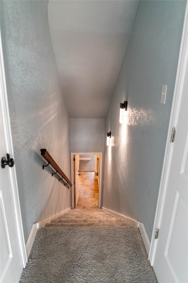 staircase with carpet floors