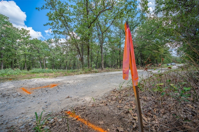 Listing photo 3 for 10.01ACRES Private Road 3582, Paradise TX 76073