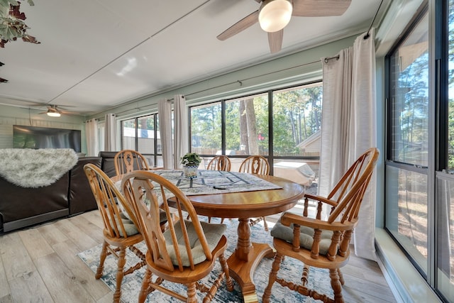 dining room with light hardwood / wood-style flooring and ceiling fan