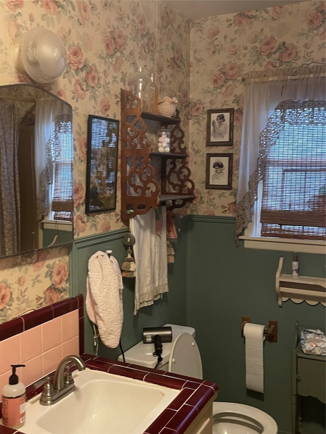 bathroom featuring toilet and vanity