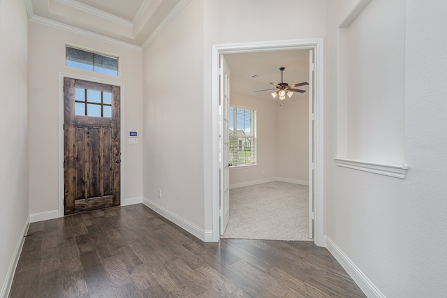 foyer with ceiling fan, dark hardwood / wood-style floors, and ornamental molding