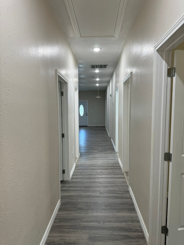 hall featuring dark wood-type flooring and crown molding