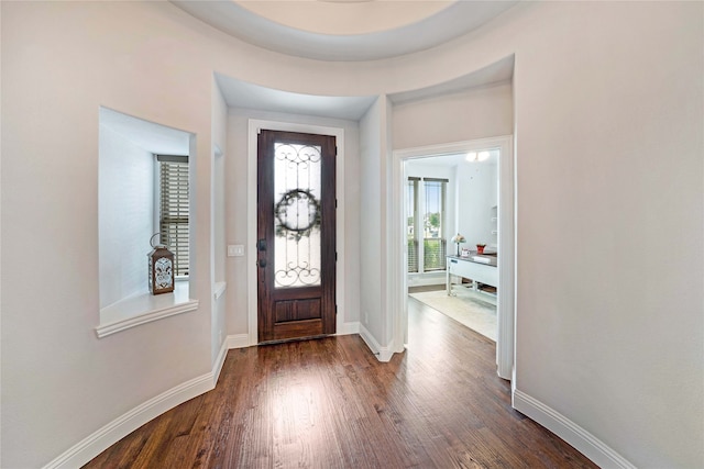 foyer with dark hardwood / wood-style flooring