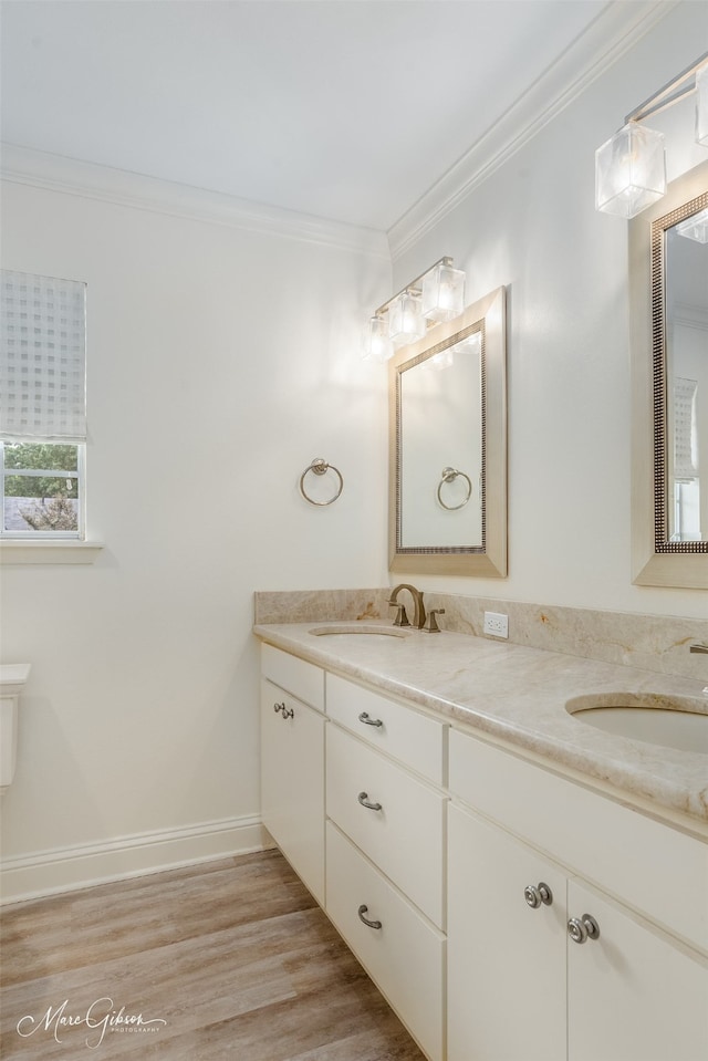 bathroom with double vanity, wood finished floors, a sink, and crown molding