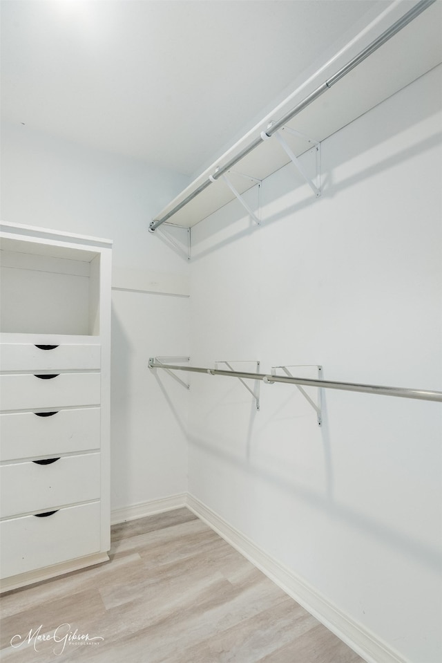 walk in closet with light wood-type flooring