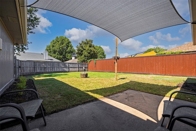 view of yard featuring a patio