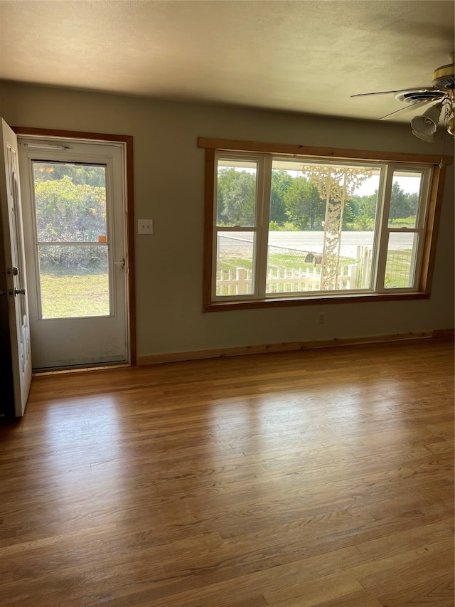 empty room with light hardwood / wood-style flooring and ceiling fan