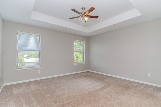 spare room featuring light colored carpet, plenty of natural light, and a raised ceiling