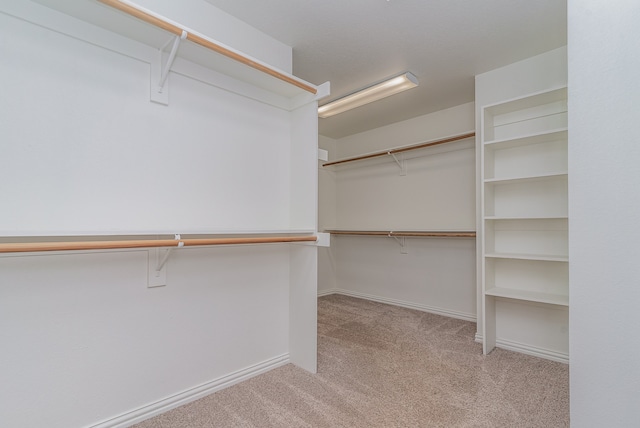 spacious closet featuring light carpet