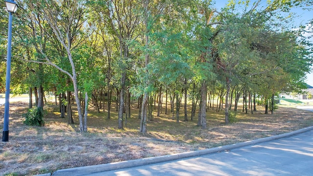 Listing photo 2 for 1 Raven Cir, Heath TX 75032