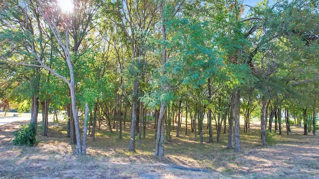 Listing photo 3 for 1 Raven Cir, Heath TX 75032