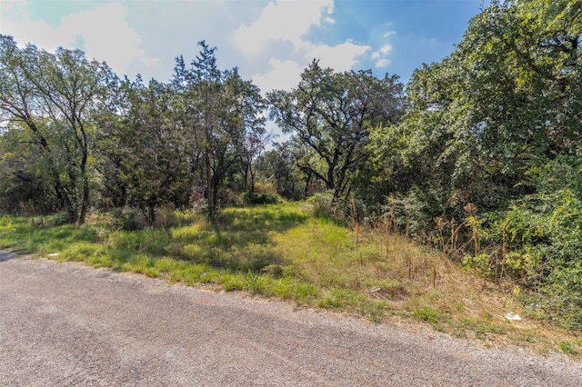 3025 Inwood Trl, Granbury, TX 76048