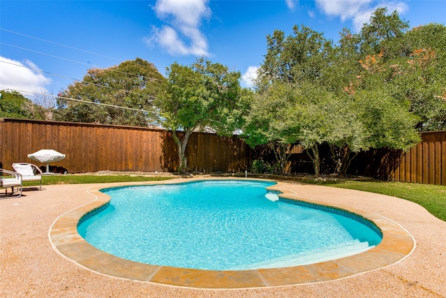 view of swimming pool featuring a patio area