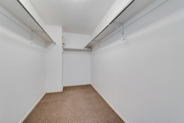 spacious closet featuring carpet floors