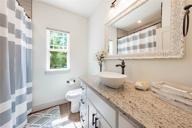 bathroom with toilet, hardwood / wood-style flooring, and vanity