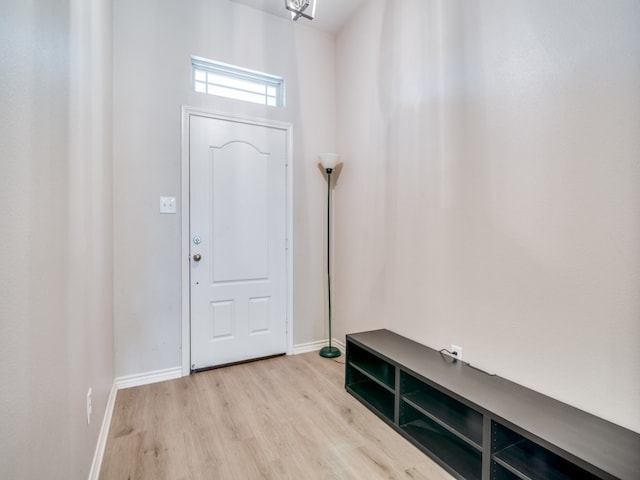 entrance foyer with light hardwood / wood-style flooring