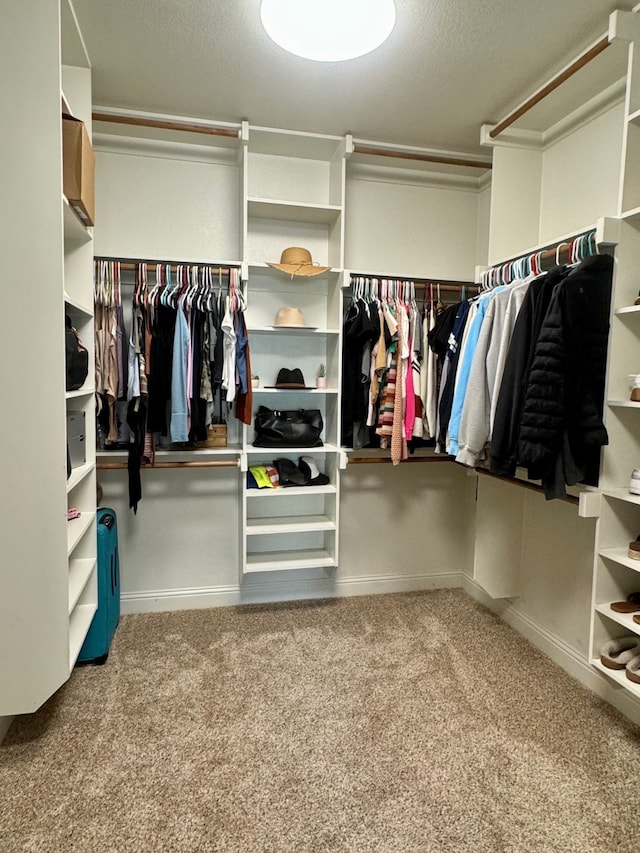 spacious closet with carpet