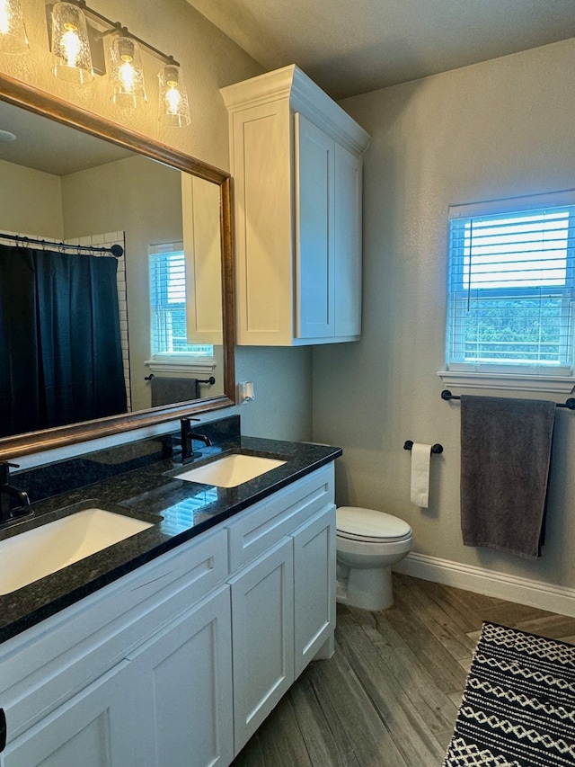 bathroom with vanity, toilet, and wood-type flooring