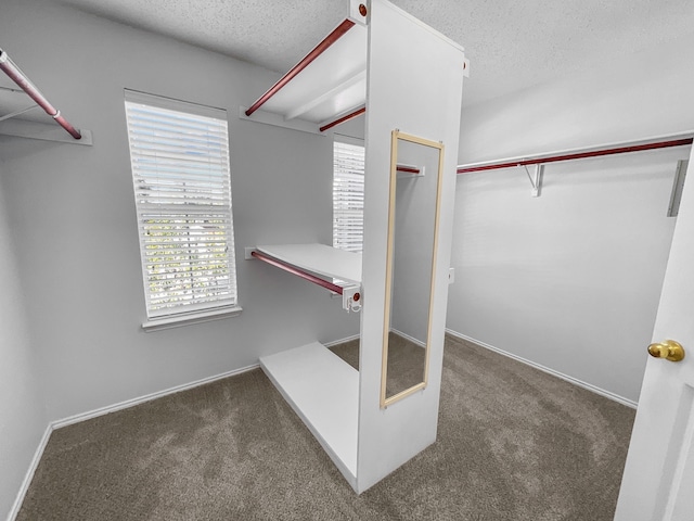 spacious closet with dark carpet