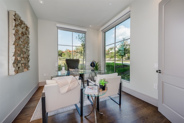 sitting room with plenty of natural light and dark hardwood / wood-style floors