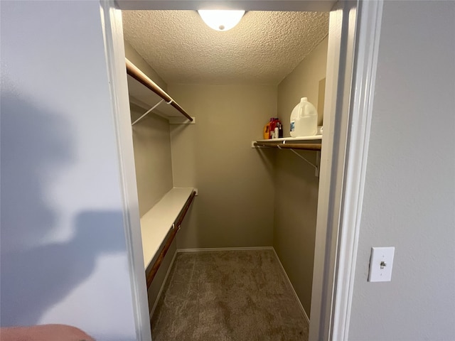 spacious closet with carpet flooring