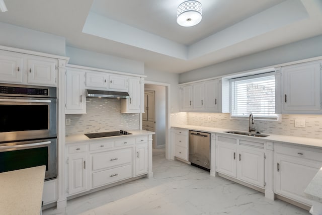 kitchen with a tray ceiling, appliances with stainless steel finishes, white cabinets, and sink