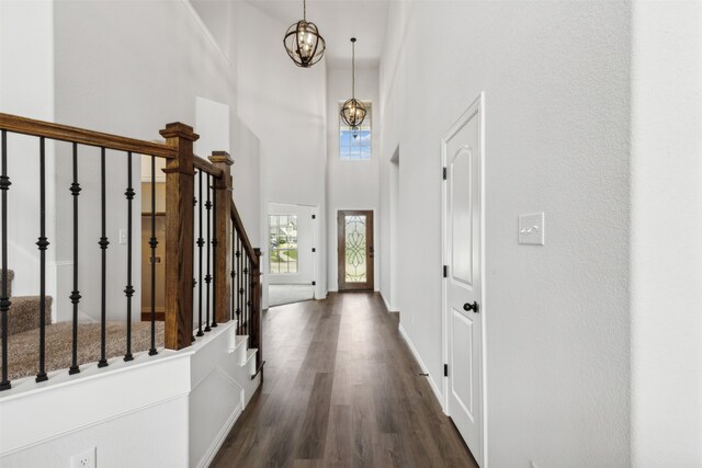 entryway with a towering ceiling, a notable chandelier, and dark hardwood / wood-style flooring