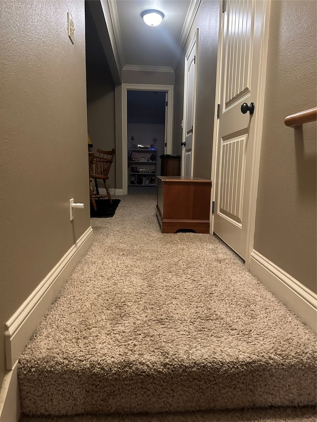 hall featuring carpet floors and ornamental molding