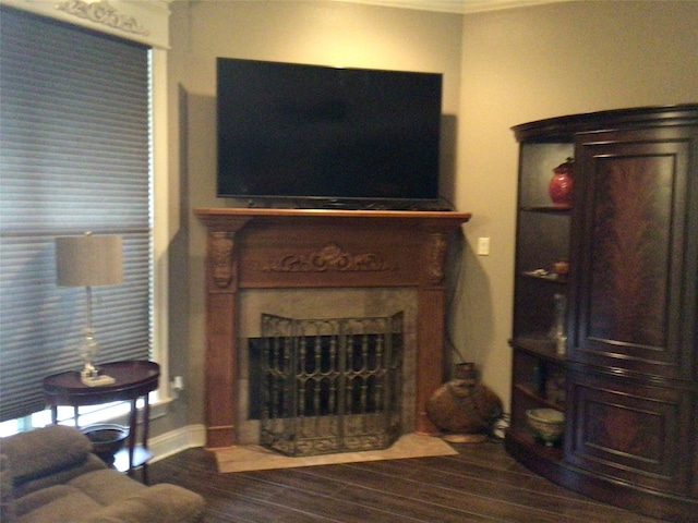 living room featuring hardwood / wood-style flooring