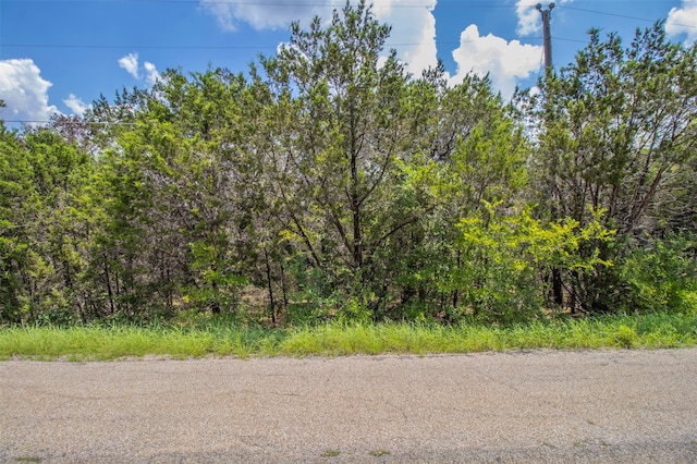 3619 Flint Rock Cir, Granbury TX, 76048 land for sale