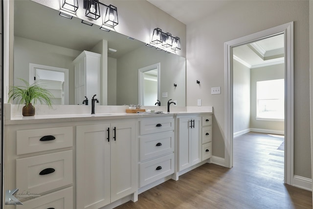 bathroom with wood-type flooring, ornamental molding, and vanity