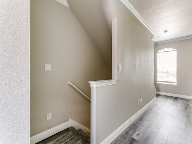 corridor featuring crown molding, dark hardwood / wood-style flooring, and a textured ceiling