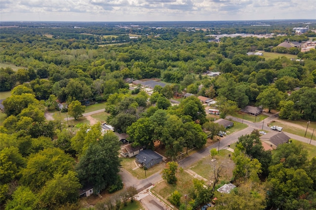 bird's eye view