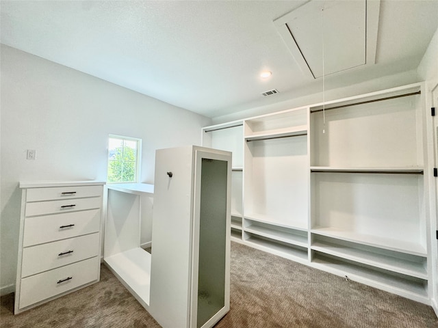 spacious closet with carpet flooring