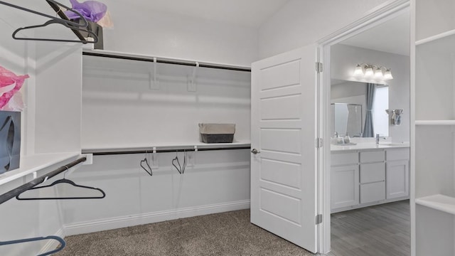 spacious closet featuring sink