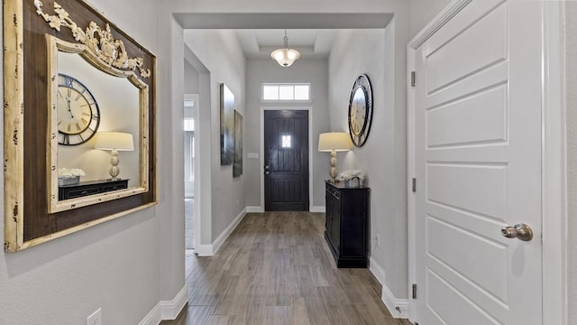 entryway featuring hardwood / wood-style flooring