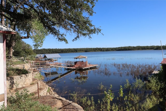 dock area with a water view