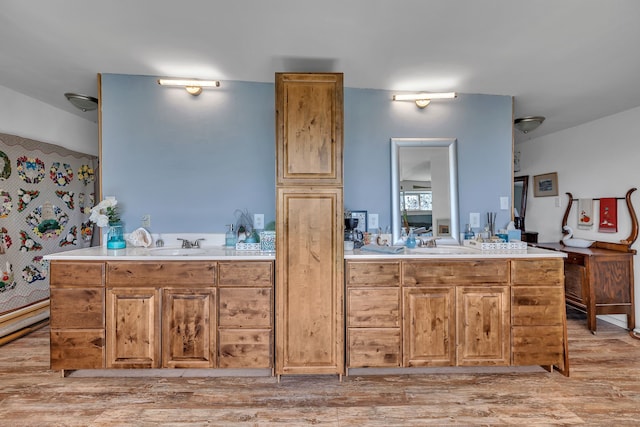 bathroom featuring wood-type flooring and vanity