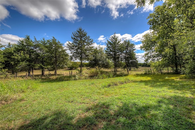 view of yard featuring a rural view