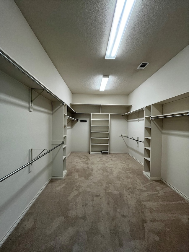 spacious closet featuring carpet