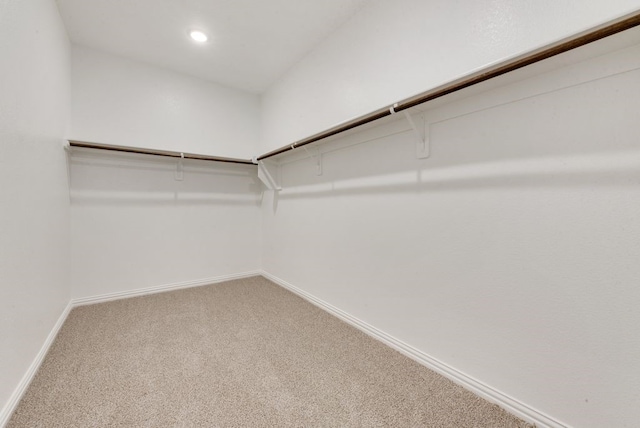 spacious closet with carpet floors