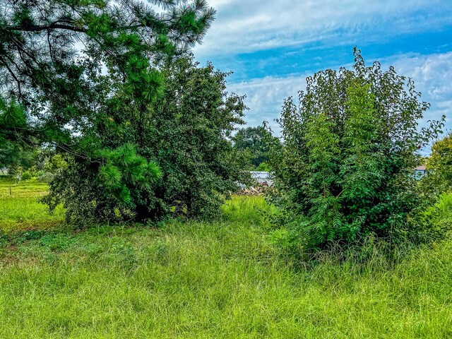 Listing photo 3 for LOT83 Circle Dr, Chandler TX 75758