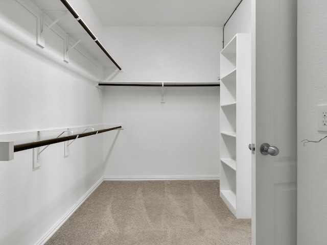 spacious closet featuring light colored carpet