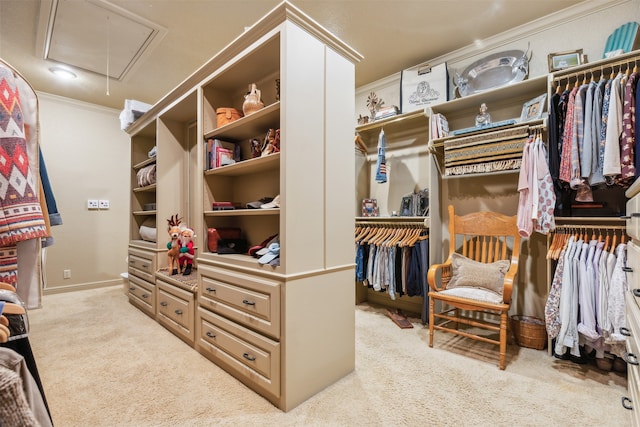 spacious closet with light carpet